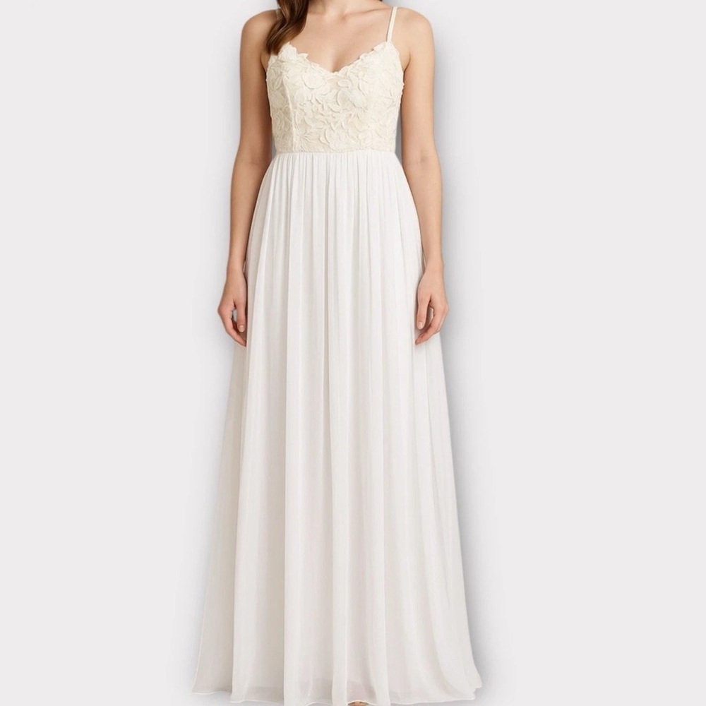 Dress the Population Asha Lace Chiffon Dress